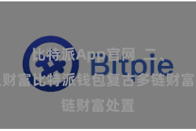 比特派App官网 二、导入财富比特派钱包复古多链财富处置