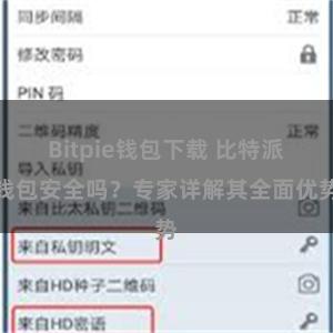 Bitpie钱包下载 比特派钱包安全吗？专家详解其全面优势