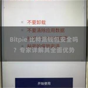 Bitpie 比特派钱包安全吗？专家详解其全面优势