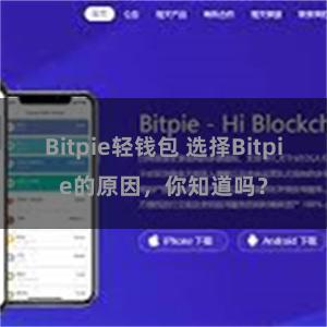 Bitpie轻钱包 选择Bitpie的原因，你知道吗？