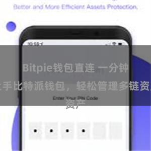 Bitpie钱包直连 一分钟上手比特派钱包，轻松管理多链资产