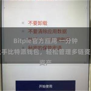 Bitpie官方应用 一分钟上手比特派钱包，轻松管理多链资产