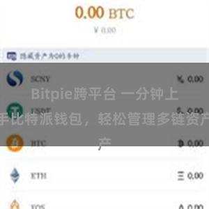 Bitpie跨平台 一分钟上手比特派钱包，轻松管理多链资产