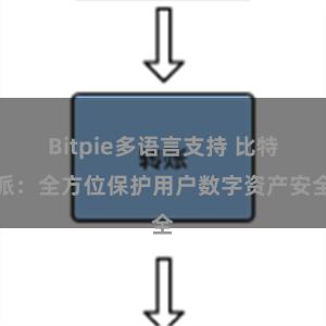 Bitpie多语言支持 比特派：全方位保护用户数字资产安全