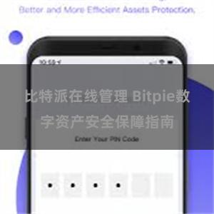 比特派在线管理 Bitpie数字资产安全保障指南