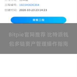 Bitpie官网推荐 比特派钱包多链资产管理操作指南