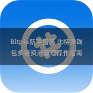 Bitpie新手指南 比特派钱包多链资产管理操作指南