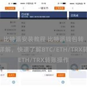 比特派安装教程 比特派钱包转账教程详解，快速了解BTC/ETH/TRX转账操作