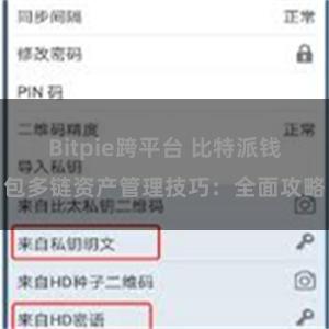 Bitpie跨平台 比特派钱包多链资产管理技巧：全面攻略