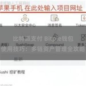 比特派支付 Bitpie钱包使用技巧：多链资产管理全攻略