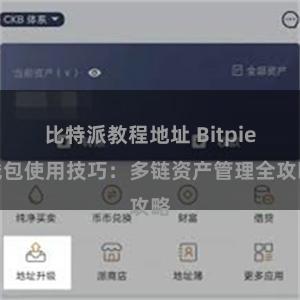 比特派教程地址 Bitpie钱包使用技巧：多链资产管理全攻略