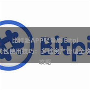 比特派APP轻量版 Bitpie钱包使用技巧：多链资产管理全攻略