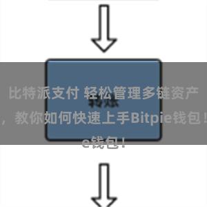 比特派支付 轻松管理多链资产，教你如何快速上手Bitpie钱包！