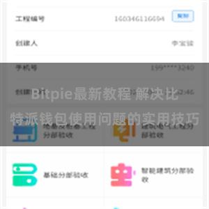 Bitpie最新教程 解决比特派钱包使用问题的实用技巧