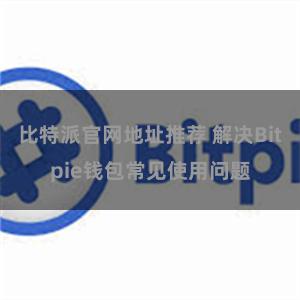 比特派官网地址推荐 解决Bitpie钱包常见使用问题