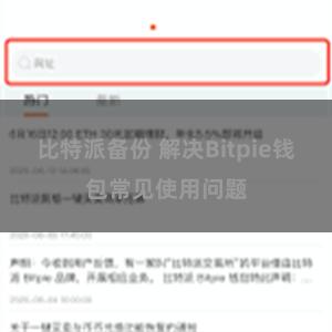 比特派备份 解决Bitpie钱包常见使用问题