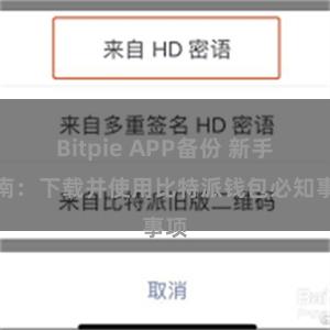 Bitpie APP备份 新手指南：下载并使用比特派钱包必知事项