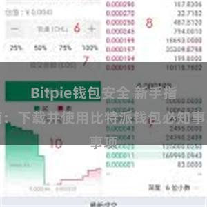 Bitpie钱包安全 新手指南：下载并使用比特派钱包必知事项