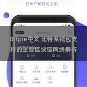 Bitpie中文 比特派钱包支持的主要区块链网络解析