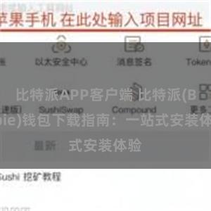 比特派APP客户端 比特派(Bitpie)钱包下载指南：一站式安装体验