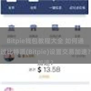 Bitpie钱包教程大全 如何通过比特派(Bitpie)设置交易加速？