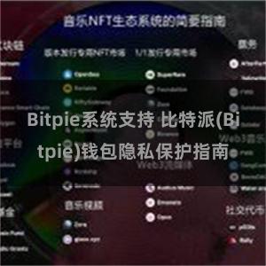 Bitpie系统支持 比特派(Bitpie)钱包隐私保护指南