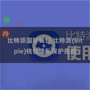 比特派国际钱包 比特派(Bitpie)钱包隐私保护指南