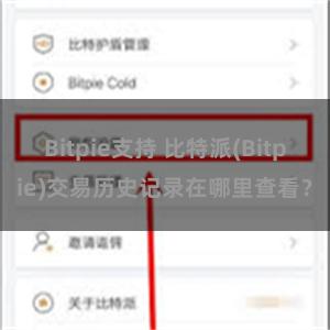 Bitpie支持 比特派(Bitpie)交易历史记录在哪里查看？