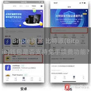 Bitpie资源 比特派(Bitpie)钱包是否支持免手续费功能？