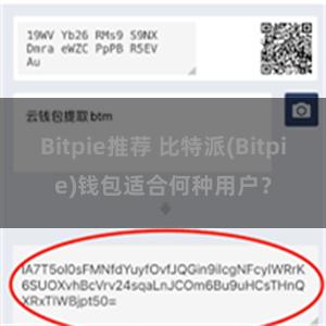 Bitpie推荐 比特派(Bitpie)钱包适合何种用户？