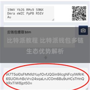 比特派教程 比特派钱包多链生态优势解析