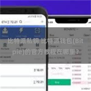 比特派私钥 比特派钱包(Bitpie)的官方教程在哪里？