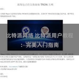 比特派网络 比特派用户教程：完美入门指南