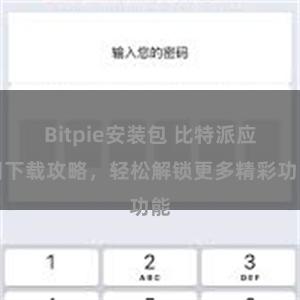 Bitpie安装包 比特派应用下载攻略，轻松解锁更多精彩功能
