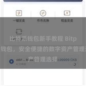 比特派钱包新手教程 Bitpie轻钱包，安全便捷的数字资产管理选择