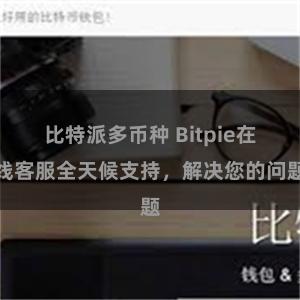 比特派多币种 Bitpie在线客服全天候支持，解决您的问题