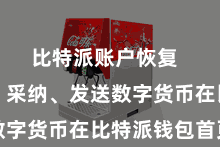 比特派账户恢复  第四步:采纳、发送数字货币在比特派钱包首页