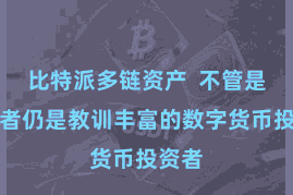 比特派多链资产  不管是入门者仍是教训丰富的数字货币投资者